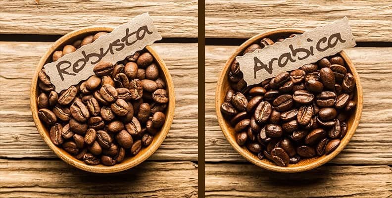 cafe-arabica-cafe-robusta
