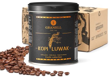 cafe-Kopi-Luwak-indonésien